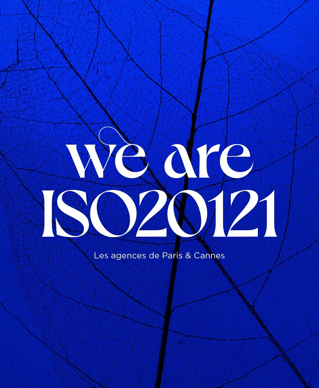 iso_01bis_1.jpg